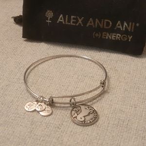 "Capricorn" Charm Bracelet Bangle Alex and Ani
